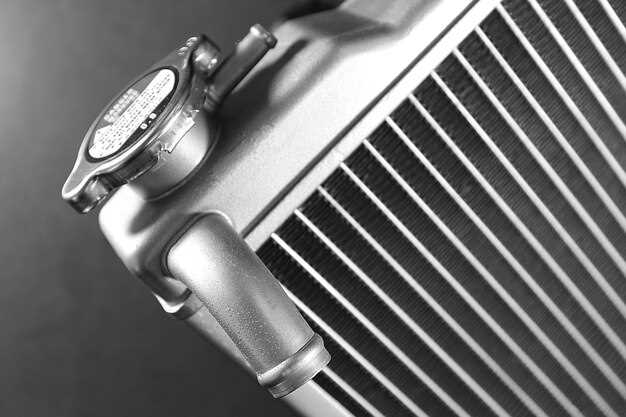 Pasos para el recambio del radiador de forma segura