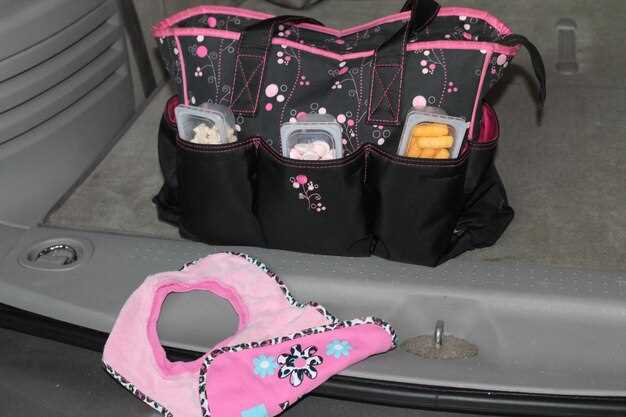 Top 5 organizadores para mantener el coche ordenado